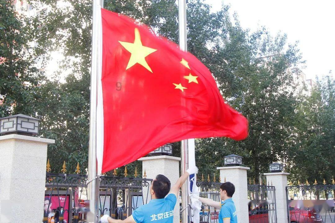 虫虫助手下载